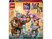 LEGO® NINJAGO Drachenstein-Tempel 71819