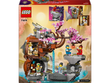 LEGO® NINJAGO Drachenstein-Tempel 71819